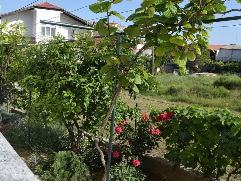 Apartmán Ozrenka