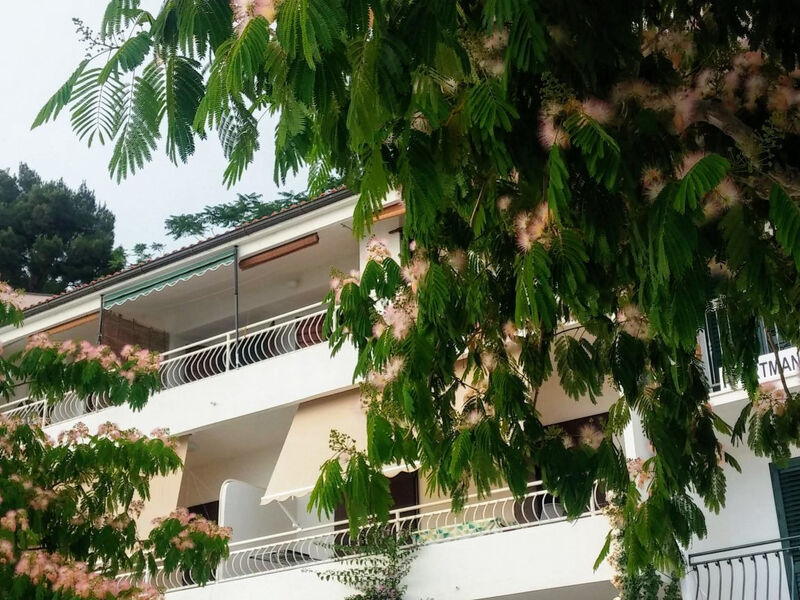 Apartmány Borislav