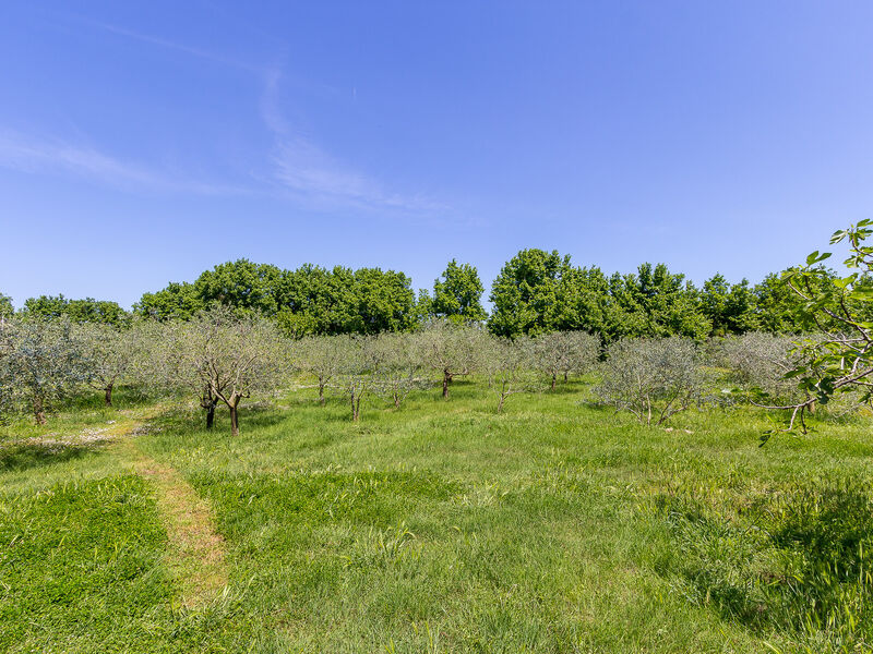 Apartmány 1318-704