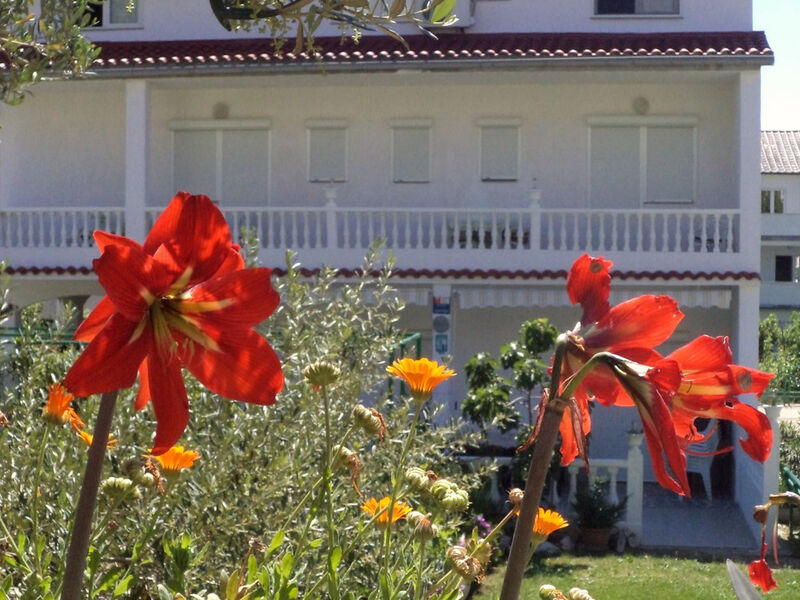 Apartmány Dominika