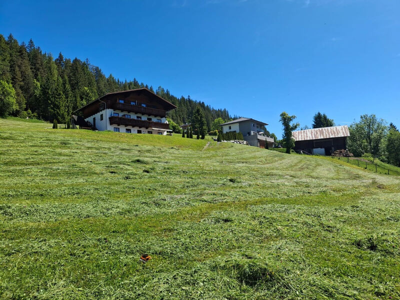 Ferienwohnung Tobias 1