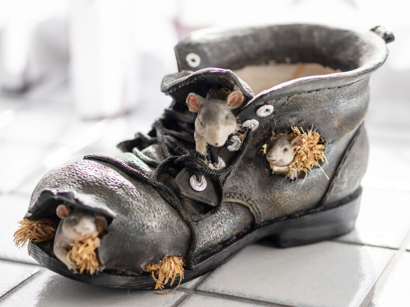 Ferienhaus Schwarzenegg