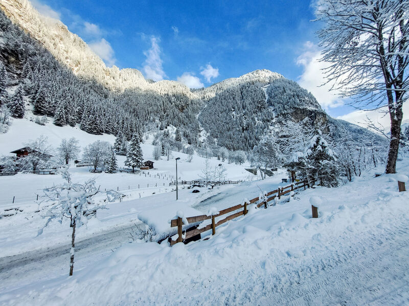 Haus Kötschach Apartment Monika