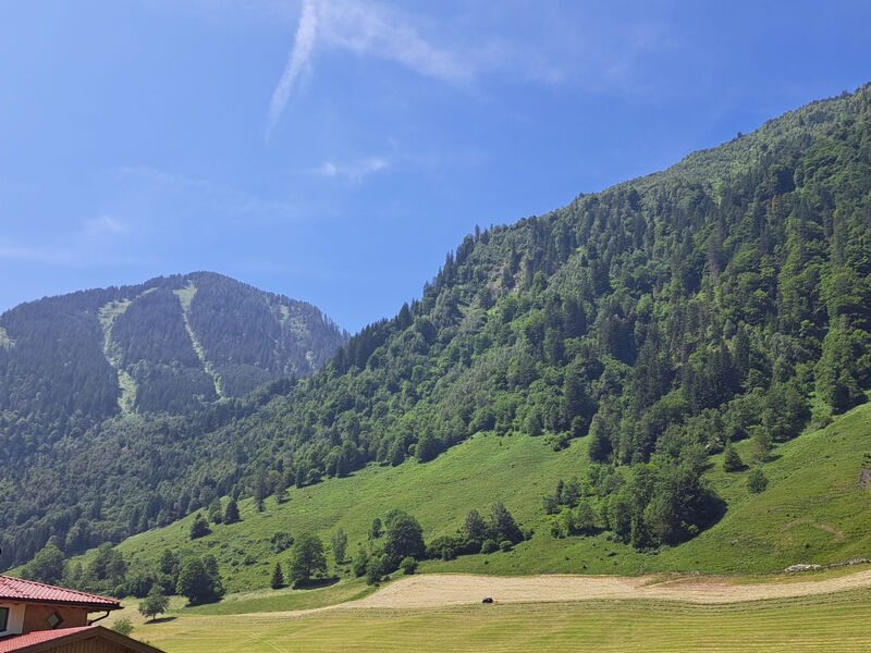 Apartement Haus Dankl