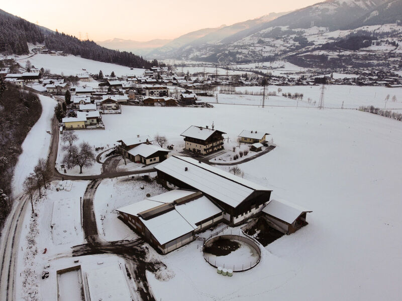 Ferienhaus Erlachhof