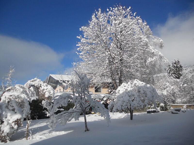 Ferienhaus Oberkofler