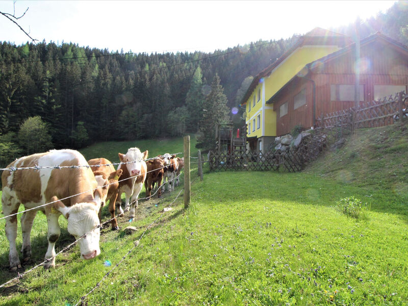 Krechen Alm