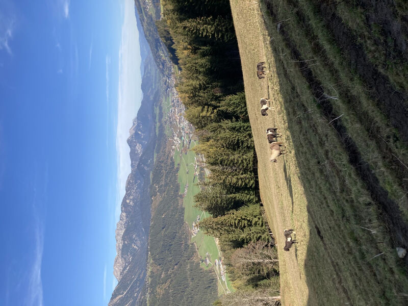 Rubin - Haus Alpenjuwel