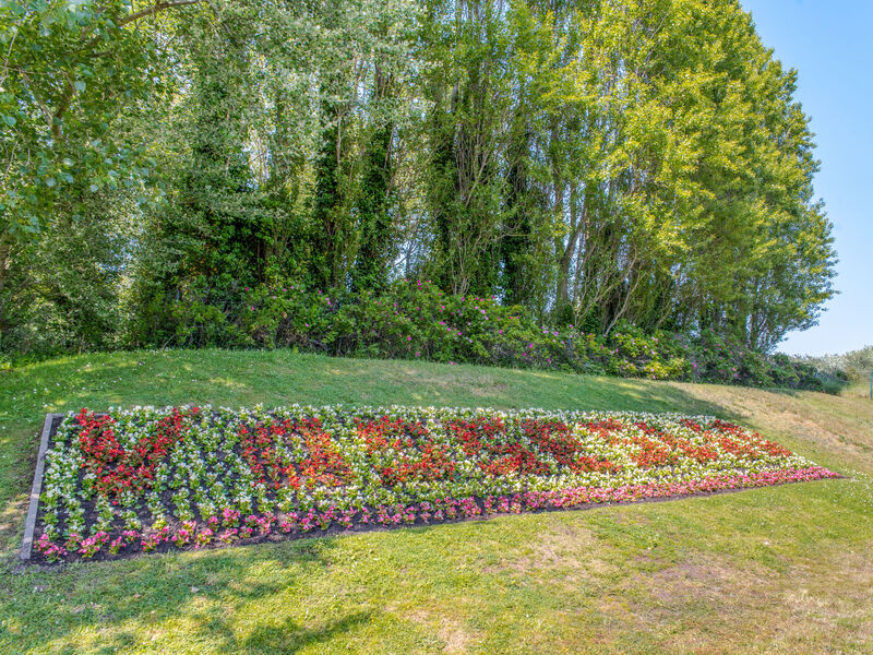 Park Atlantis: Orchidee