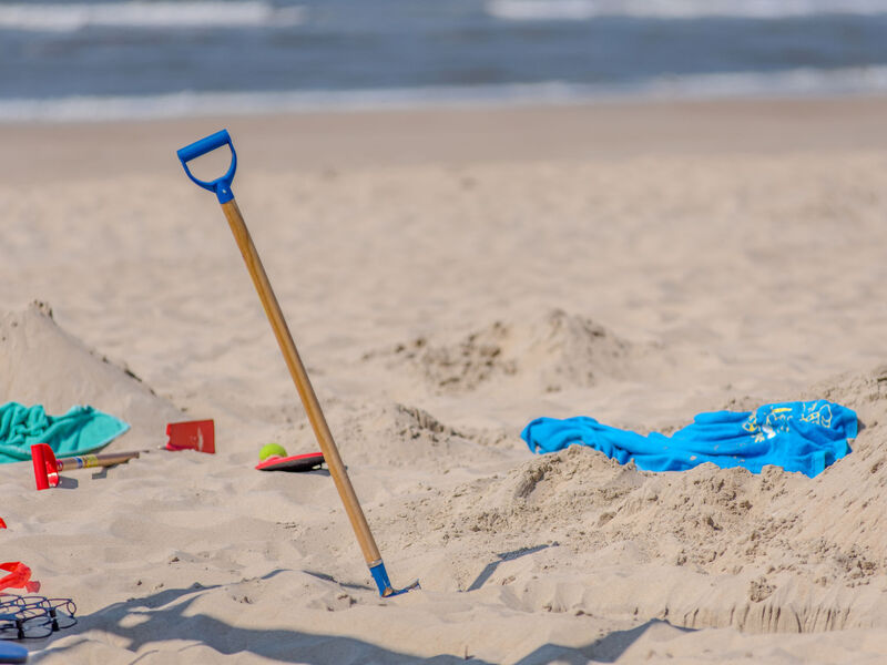 Park Atlantis: Orchidee