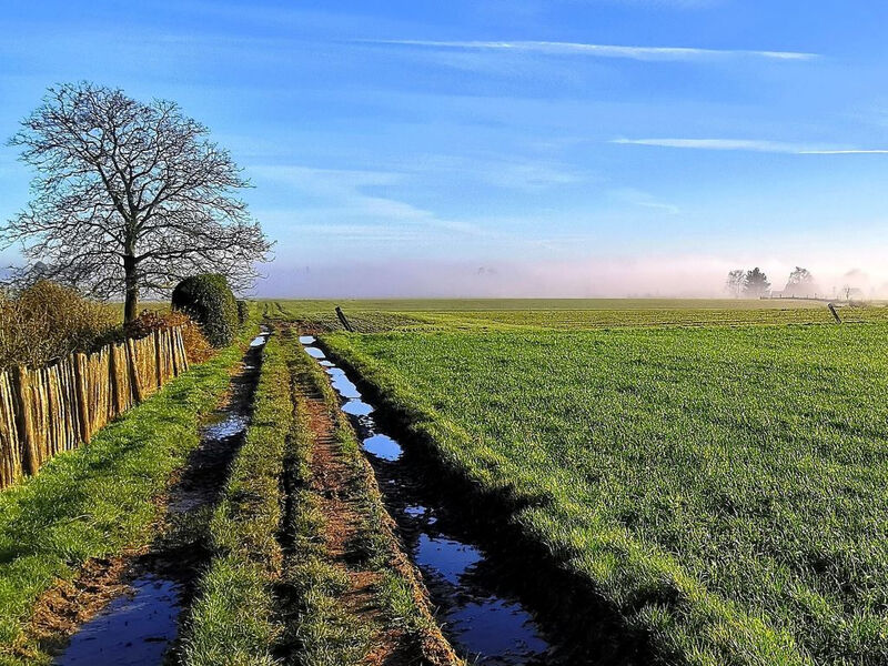 Komplett neue ländliche Unterkunft im Cottage-Stil Komfort