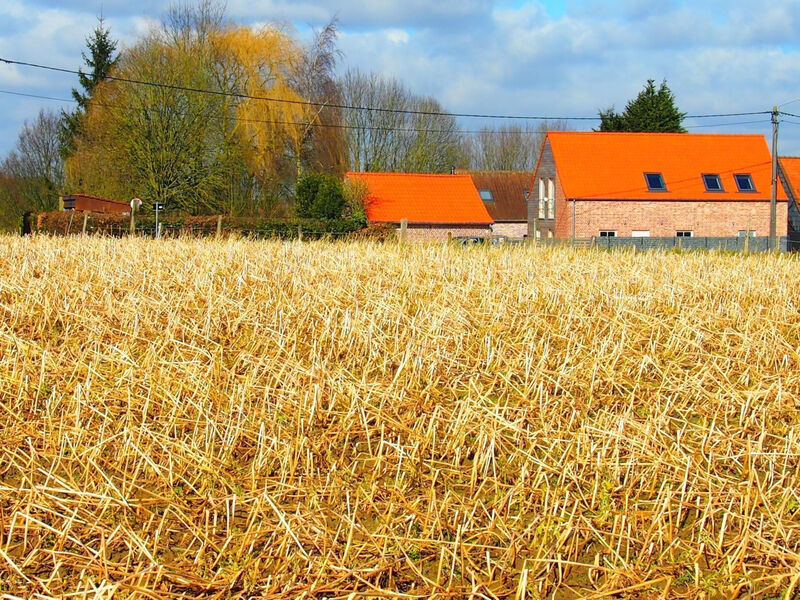 Komplett neue ländliche Unterkunft im Cottage-Stil Komfort