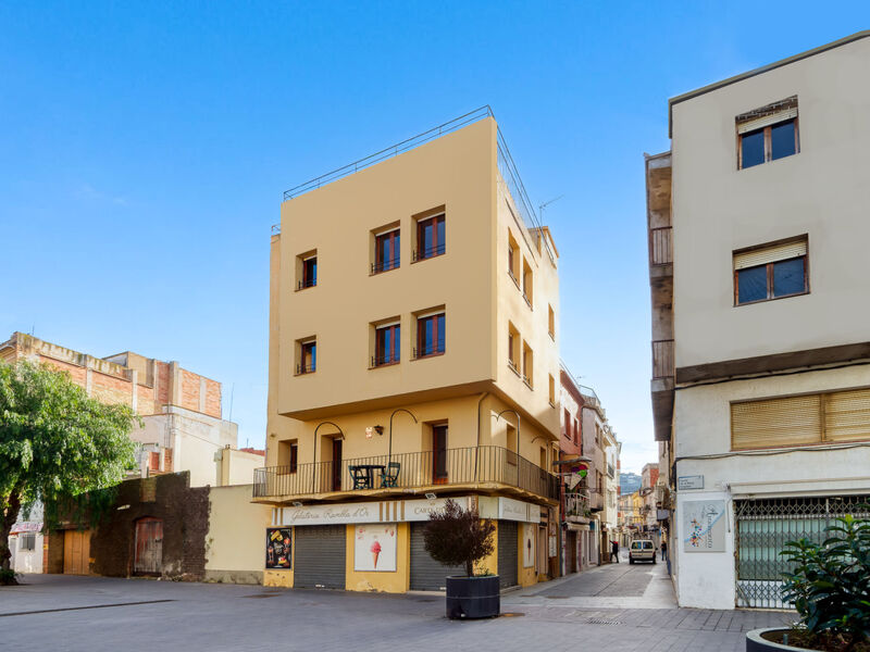 Centro peatonal Roses