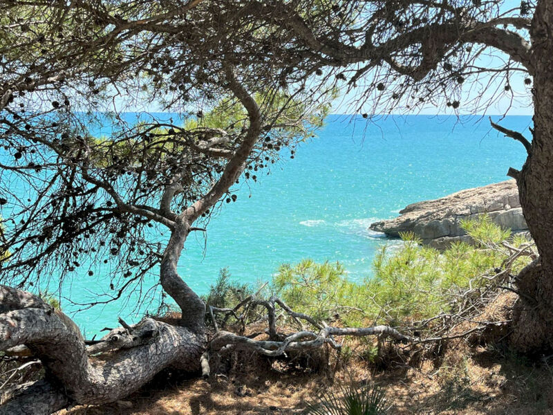 TerrazaAzul-Penthouse apartment sea view