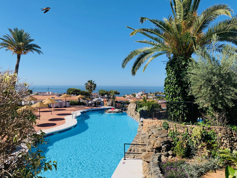 Los Geraneos de Capistrano