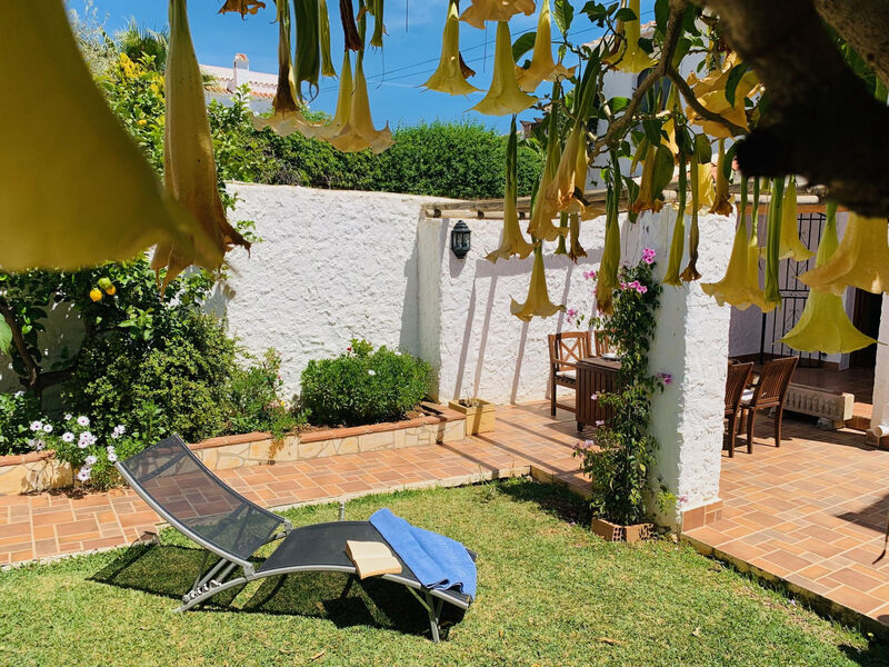 Los Olivos de Capistrano