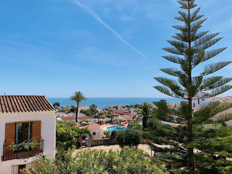 Los Olivos de Capistrano