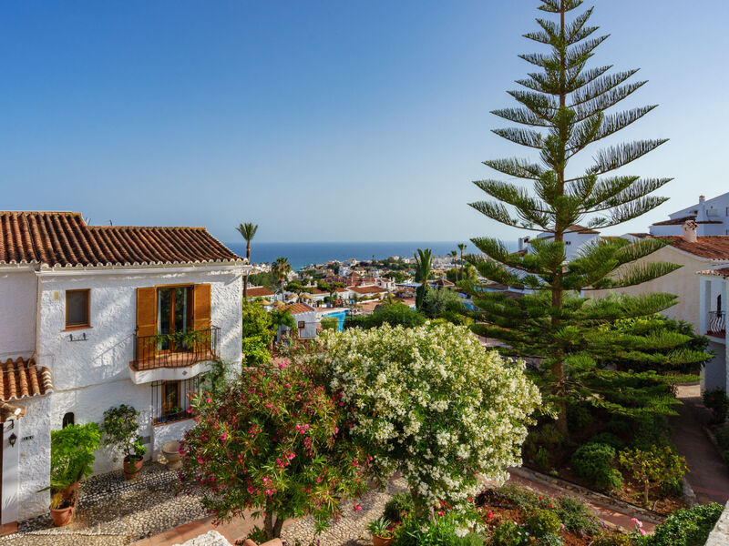 Los Olivos de Capistrano