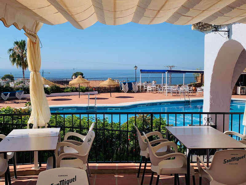 Los Olivos de Capistrano