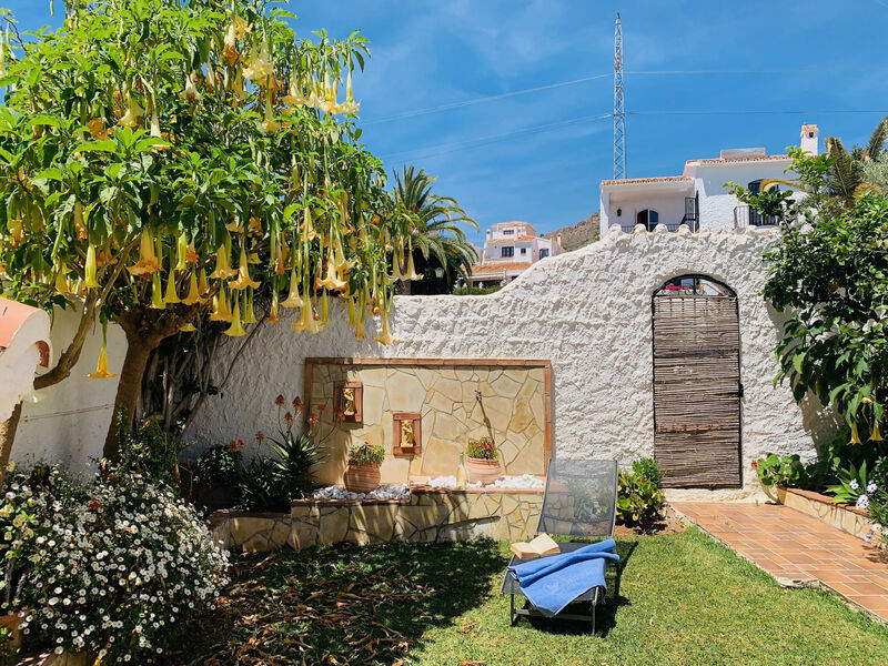 Los Olivos de Capistrano