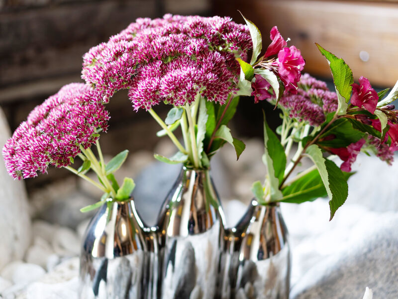 Ferienhaus Schwarzenegg