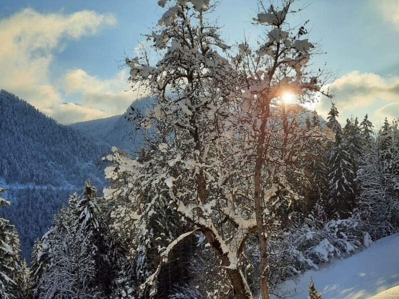 Bauernhaus Stoffengut