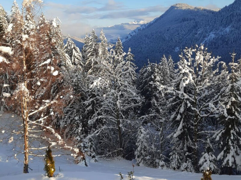 Bauernhaus Stoffengut