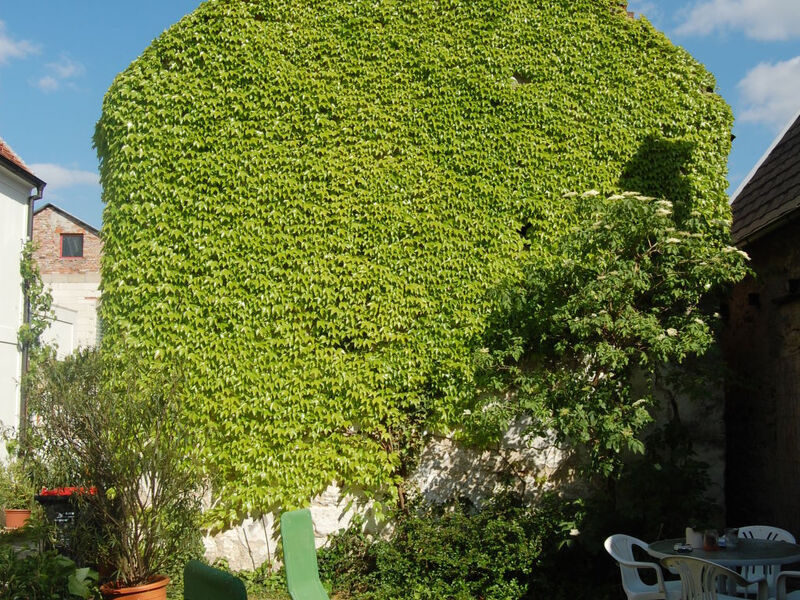 Ferienwohnungen Hofgasse