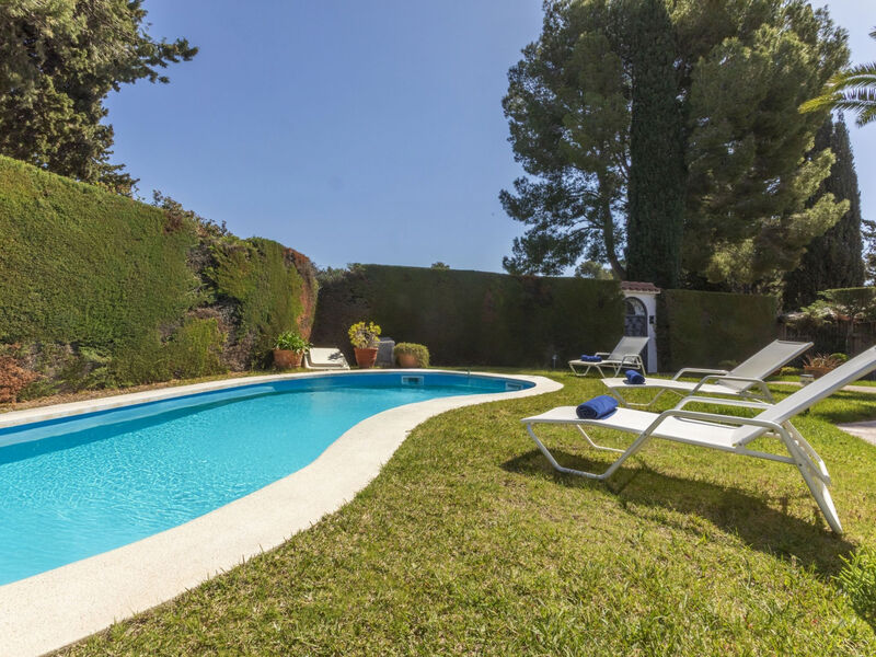 Eldorado Playa (890)