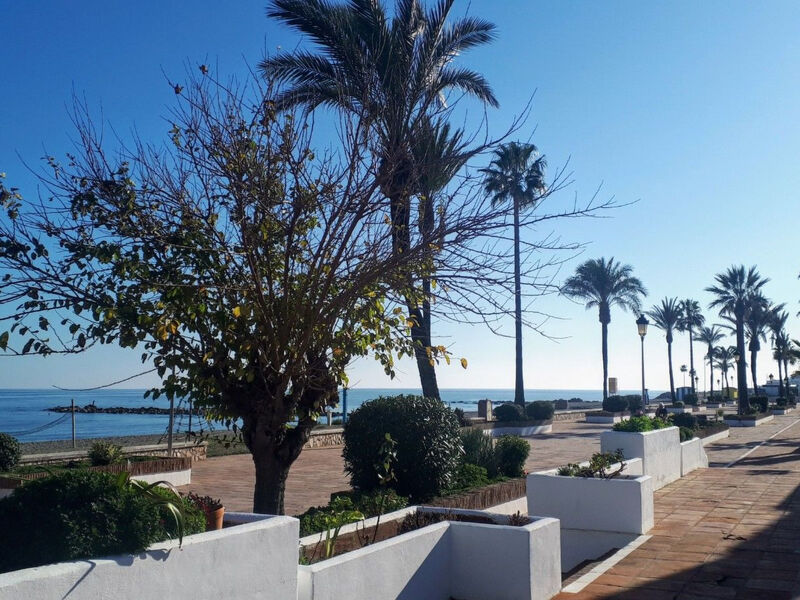 Luxuriöses Apartment am Strand