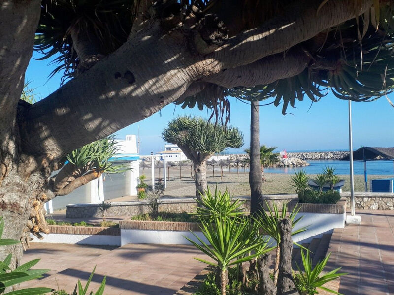 Luxuriöses Apartment am Strand