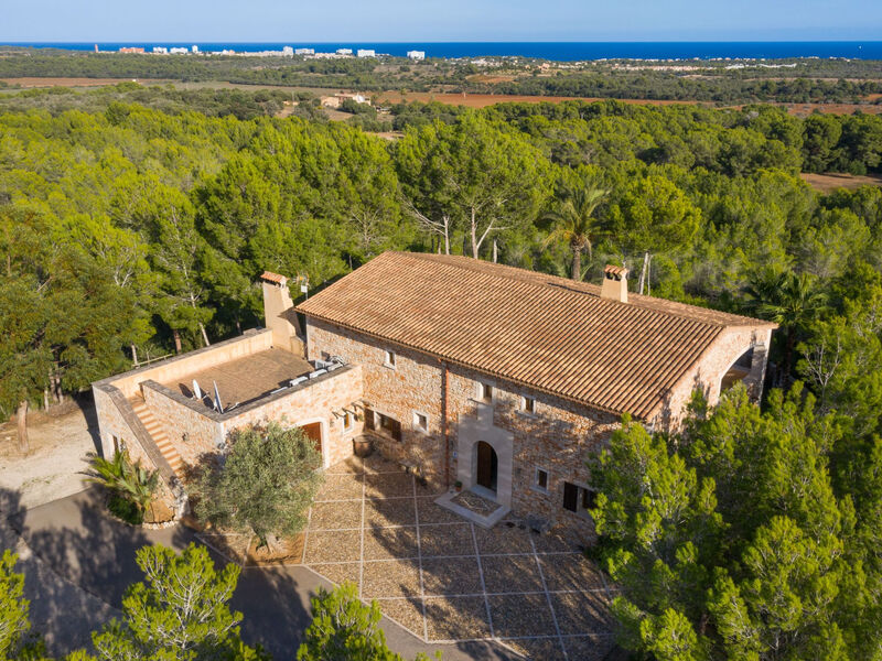 Forn Fumet  (ETV 899)