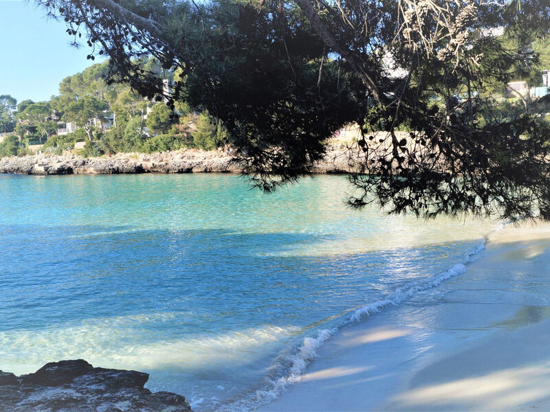 Bungalow con piscina