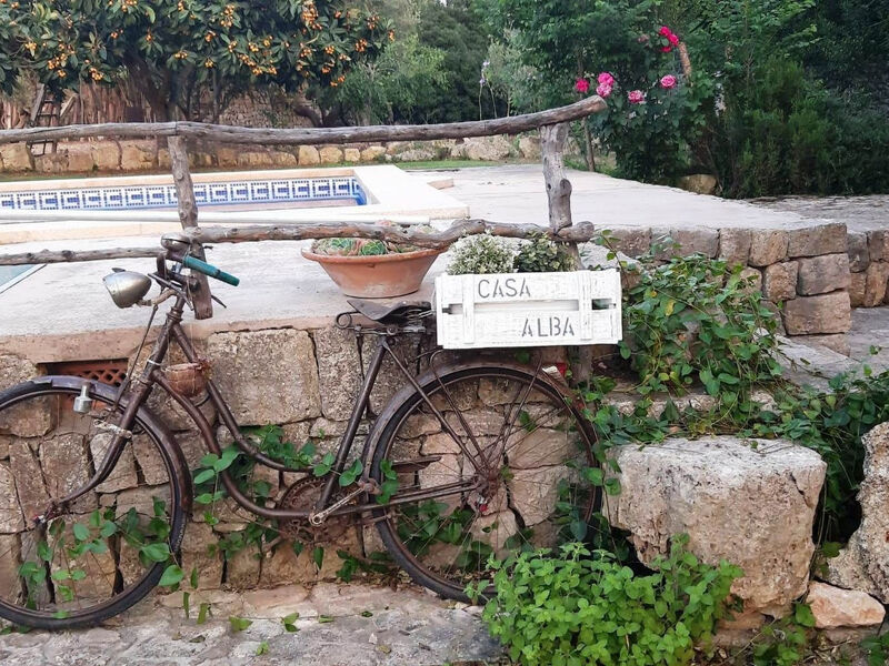 Finca Casa Alba - großer Außenbereich für Kinder