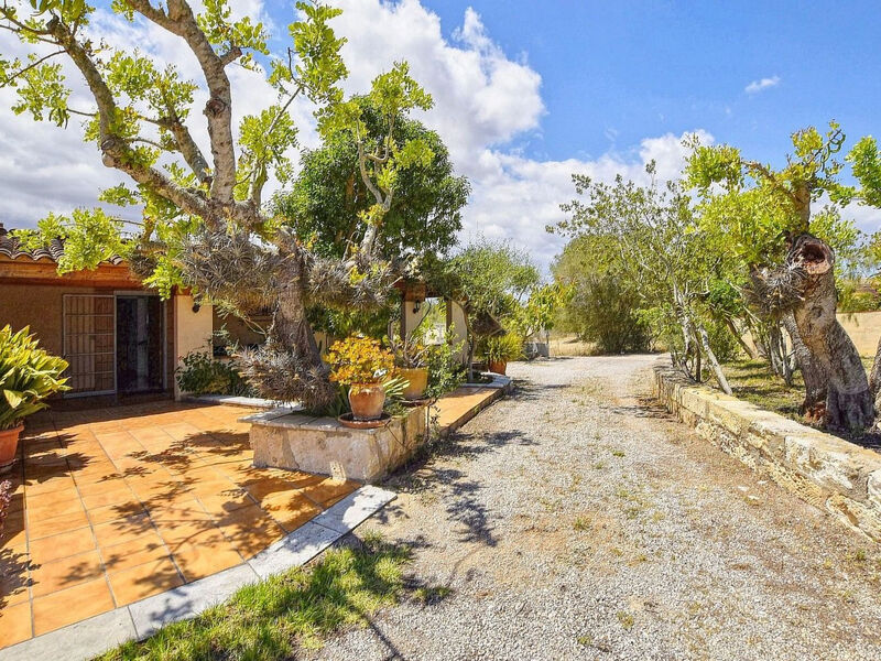 Finca Son Macia ruhige Lage Schwimmbad und Klimaanlage