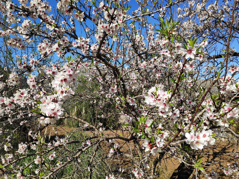 Ruhiges Haus 5 Min. vom Strand entfernt