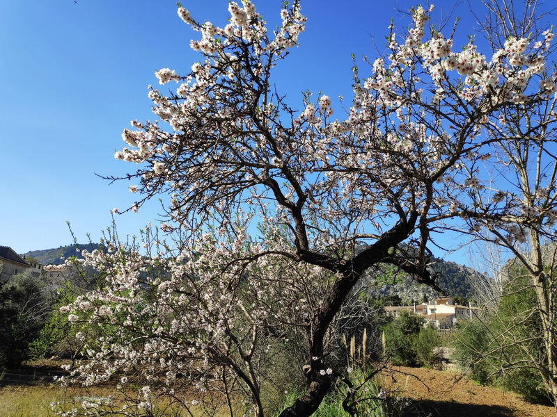 Ruhiges Haus 5 Min. vom Strand entfernt