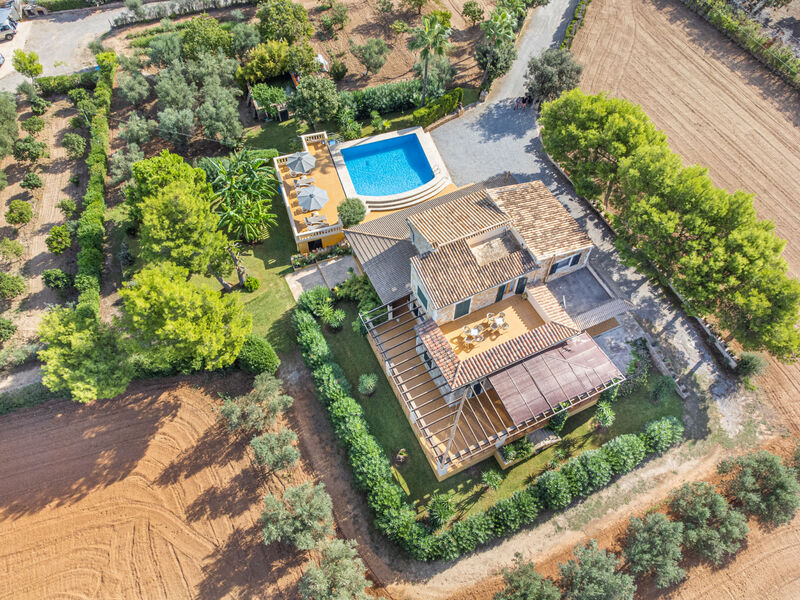 Finca Hort Des Xilindro