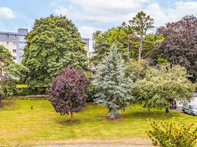 Le chant des mouettes