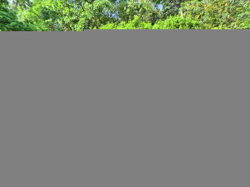 Le Clos de la Forêt