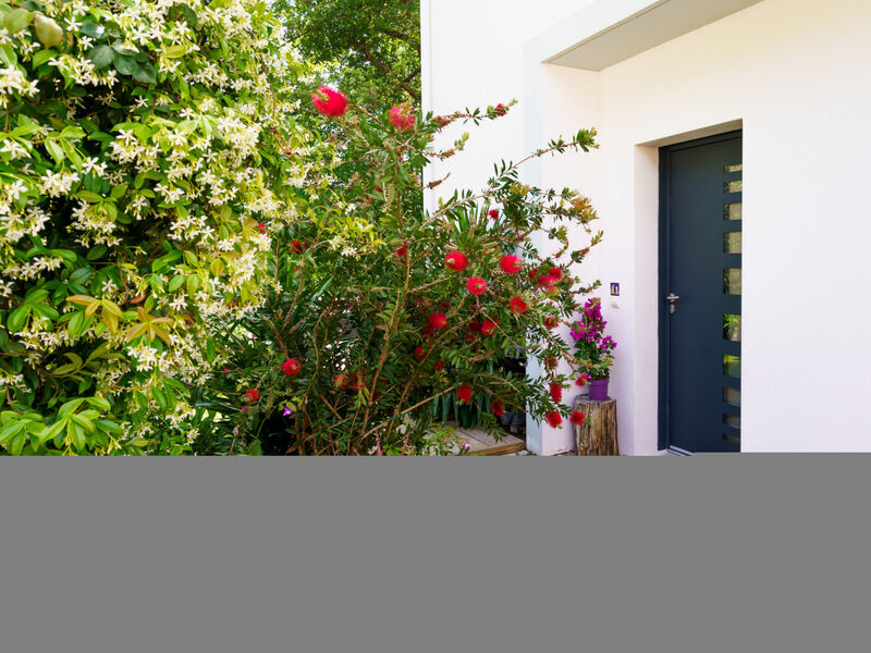 Chemin du Ruisseau d'Arcangues