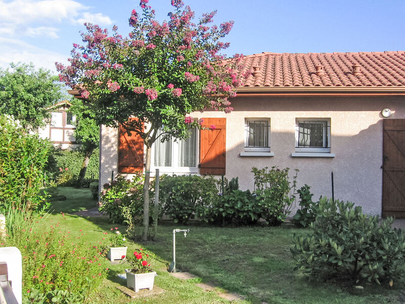 Bosquet Aux Ecureuils