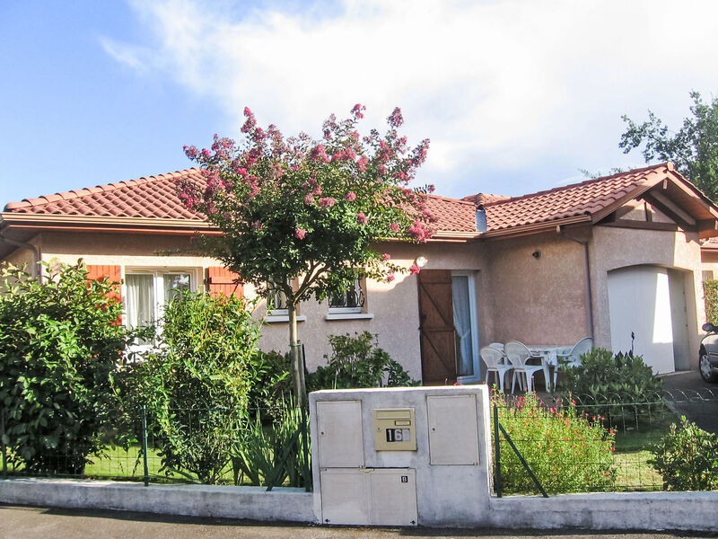 Bosquet Aux Ecureuils