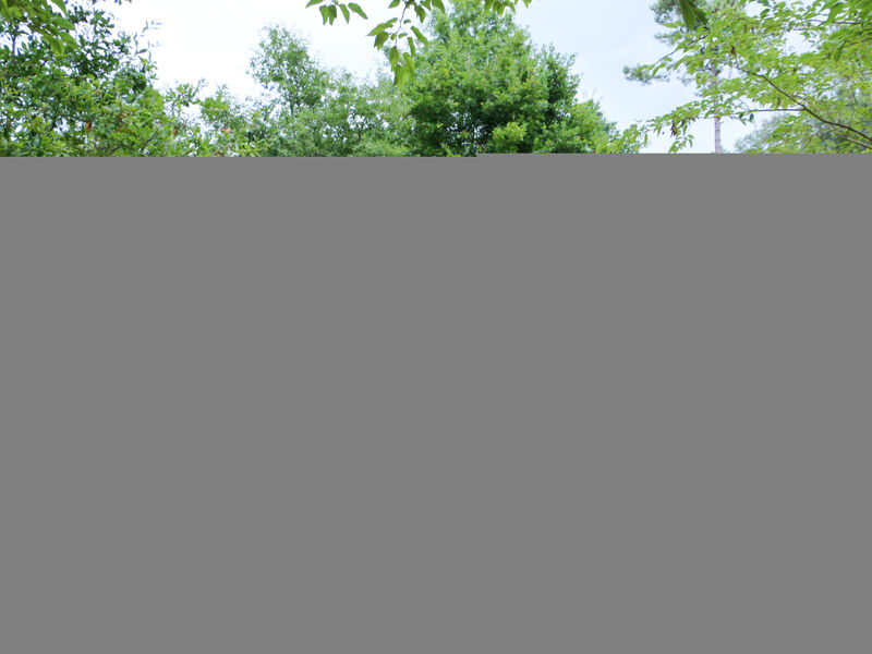 Airial Du Seignanx Key West