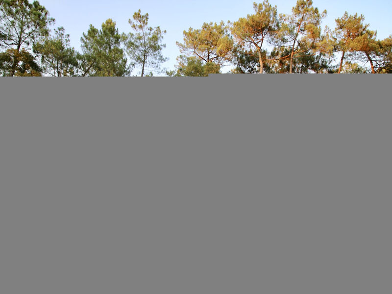 Airial Du Seignanx Key West