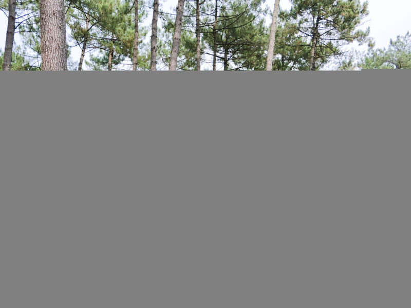 Airial Du Seignanx Key West