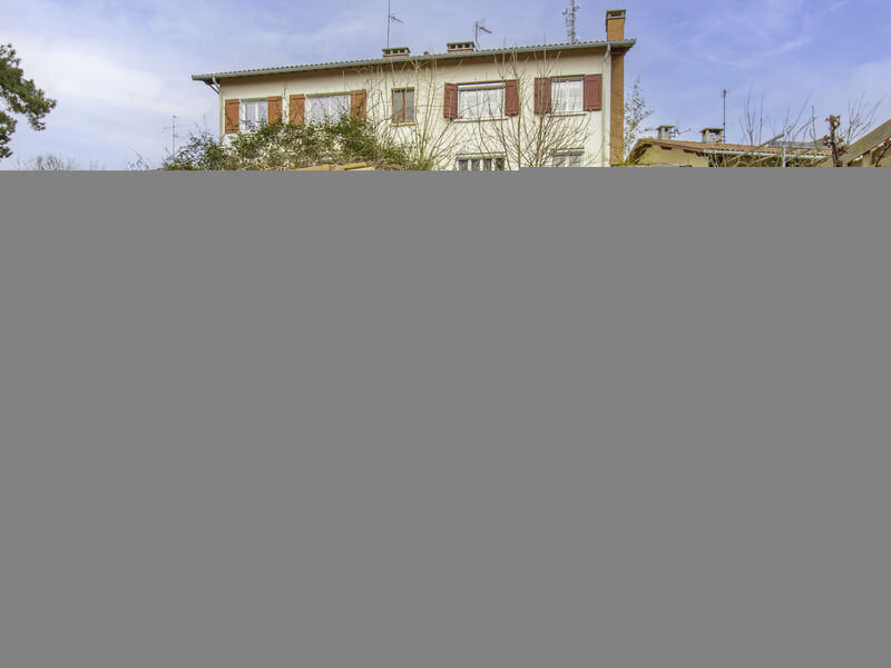 Dans la forêt de Pin