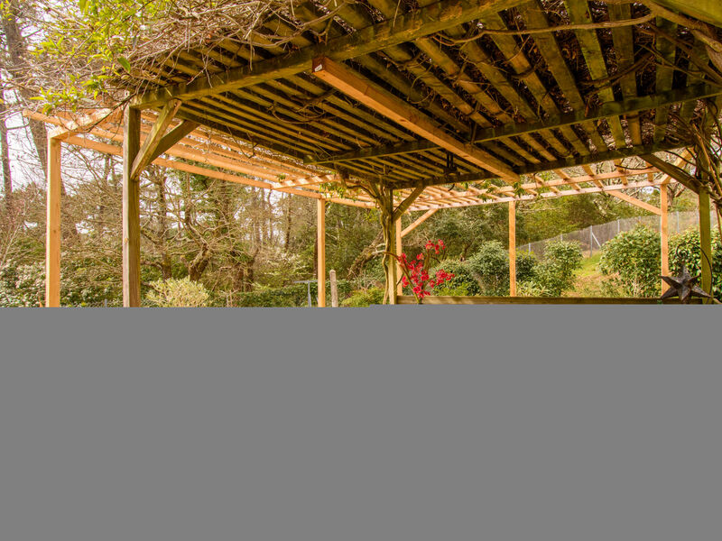 Dans la forêt de Pin