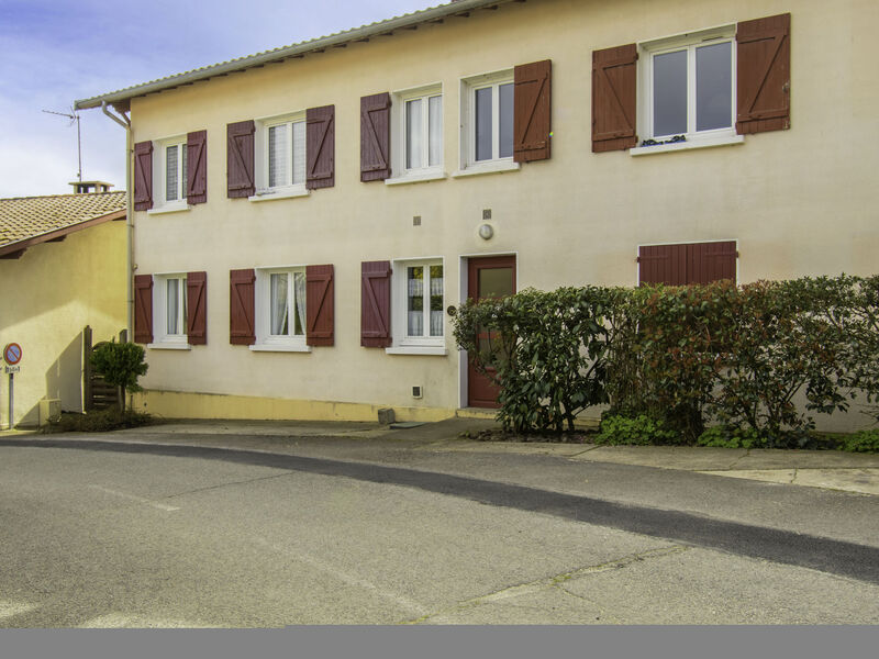 Dans la forêt de Pin