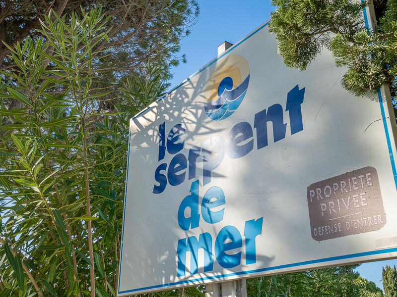 Le Serpent De Mer